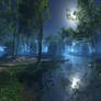 Moonlit night