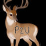 P2U Whitetail Buck