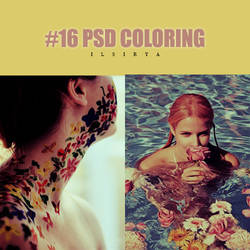 #16 PSD Coloring
