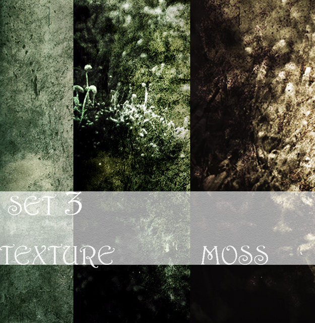 moss texture