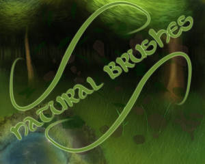 Natural brushes by zevenstorms, visual art