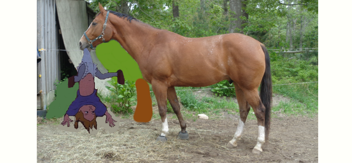 Penny Caught by a Bay Appaloosa by jonstallion on DeviantArt