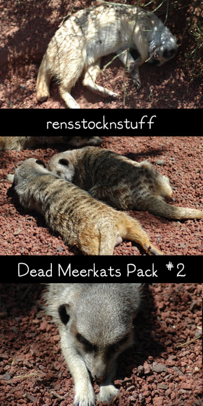 Dead Meerkat Pack2