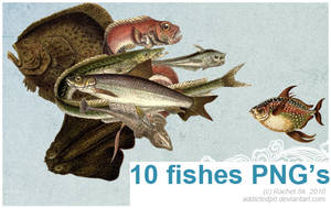 10 fishes PNG