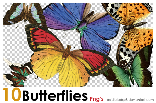 PNG butterflies 2 by addictedsp8 on DeviantArt
