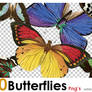 PNG butterflies 2