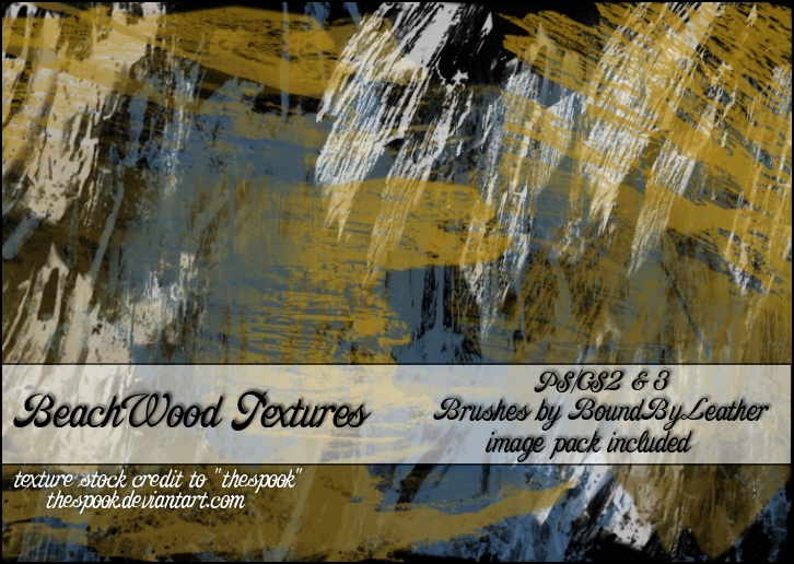 BeachWood Texture Brushes PS