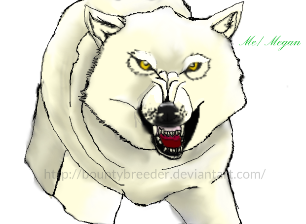 White wolf by Bountybreeder on DeviantArt