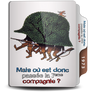 Mais ou est donc Passe la 7eme Compagnie 1973 Icon
