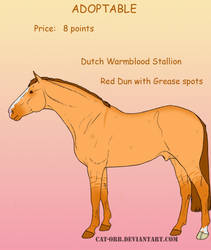 Dutch Warmblood Adoptable- CLOSED!!