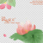 flower_lotus_png_6p