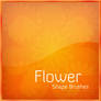 -_-_ Flower Shapes _-_-