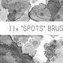 Spots Brushes No.2