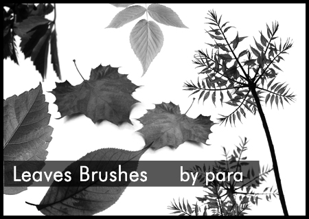 Leaves Brushes
