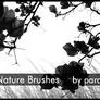Nature Brushes