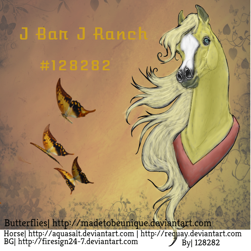 J bar J Ranch Avatar