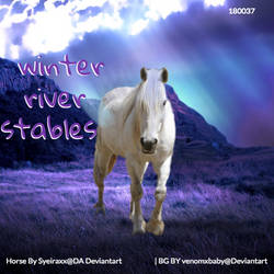 Wwinter river stables