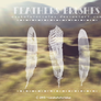 Feathers - Brushes