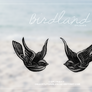 Birdland {brushes}
