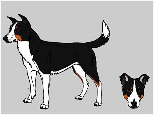 Canine color project - Final-ish