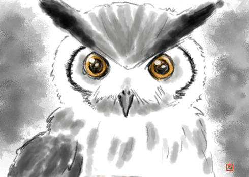 owl