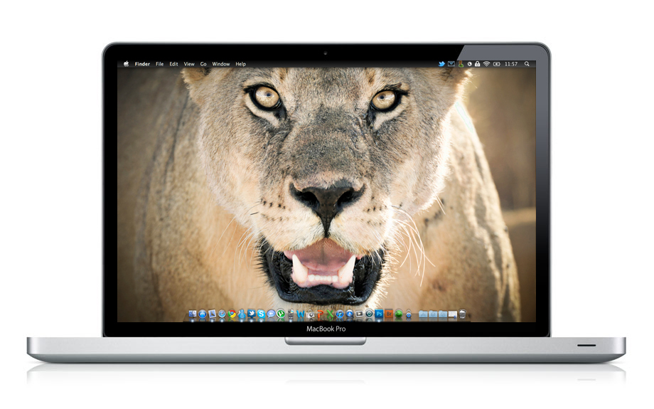 Lion Queen Wallpaper by felixufpe on DeviantArt Lion Queen Wallpaper by felixufpe on DeviantArt