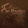 Dynamic FUR Brushes for Photoshop NEW *UPDATE 2.0*