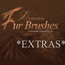 Dynamic FUR Brushes for Photoshop *EXTRAS*