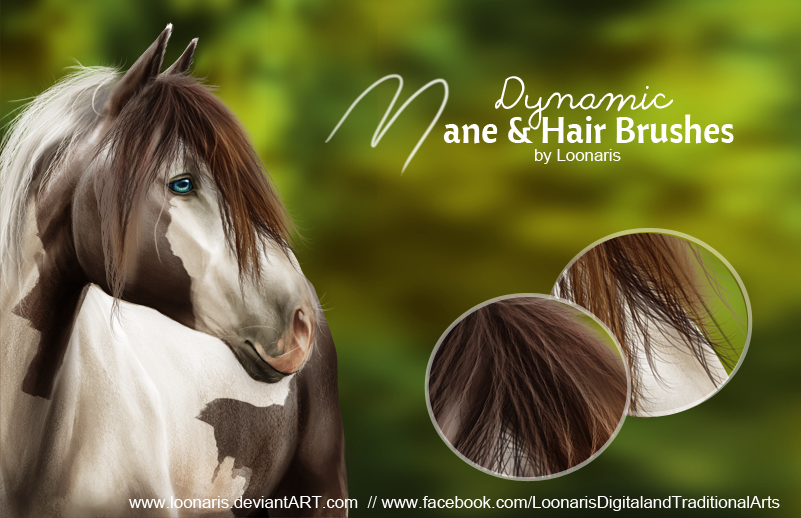 Dynamic MANE and HAIR Brushes for Photoshop