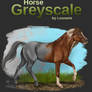 Horse Greyscale 01