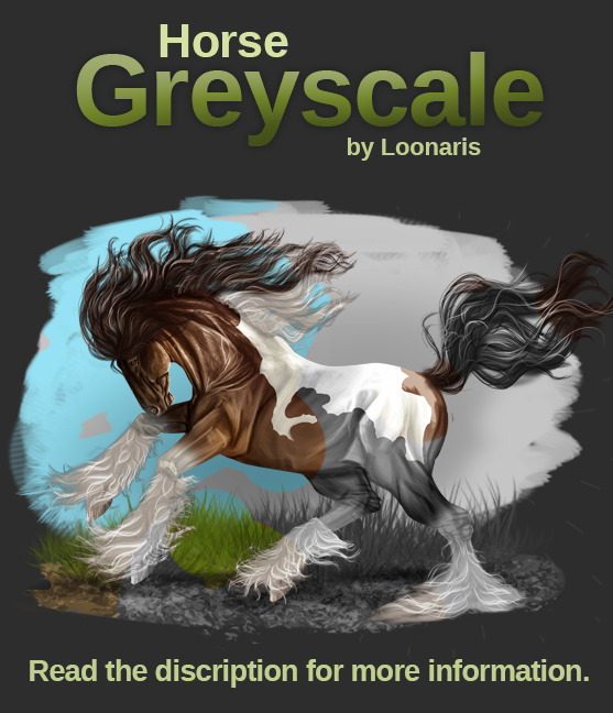 Horse Greyscale 02