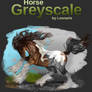 Horse Greyscale 02