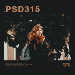 .psdcoloring315.pain