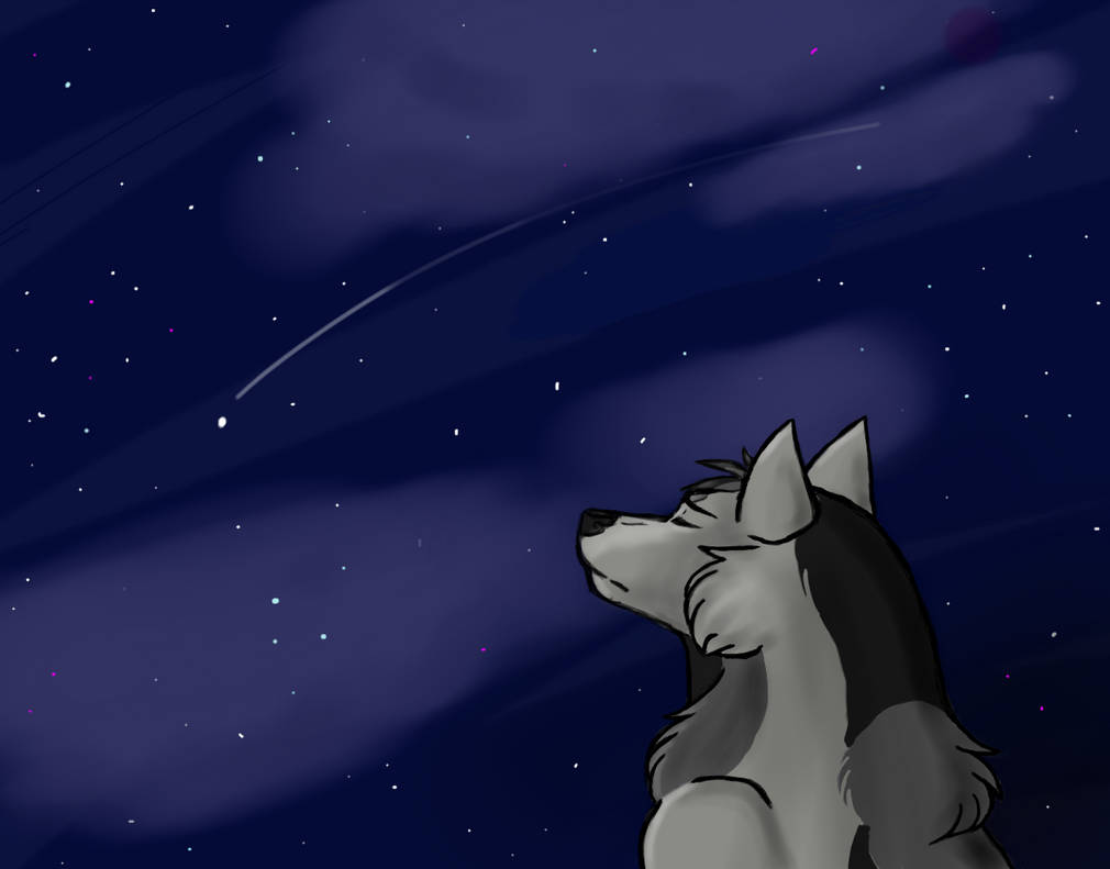 A New Start in a New Time by Aerial-Vew on DeviantArt
