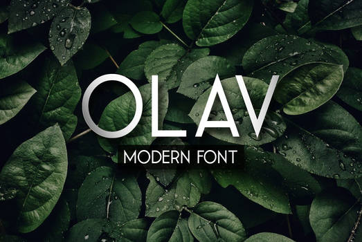 OLav Font Regular