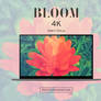 Bloom