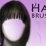 Hair Brushes for Photoshop