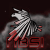 NBSI KB Banner - Flying Eagle