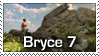 Stamp Bryce7