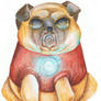 Iron Pug