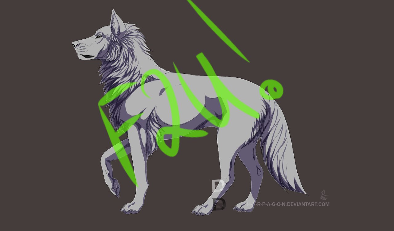 стена памяти конная 10. вульф ученый. вульф юрий викторович. конная 10 санкт-петербург история дома. вульф юрий викторович.