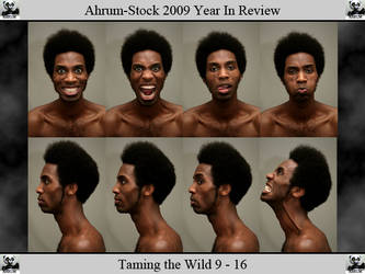 Taming the Wild 09 YIR 2 by Ahrum-Stock