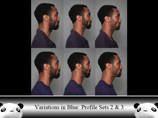 ViB Profile Sets 2 and 3