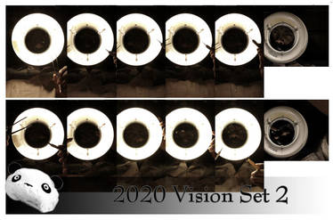 2020 Vision Set 2