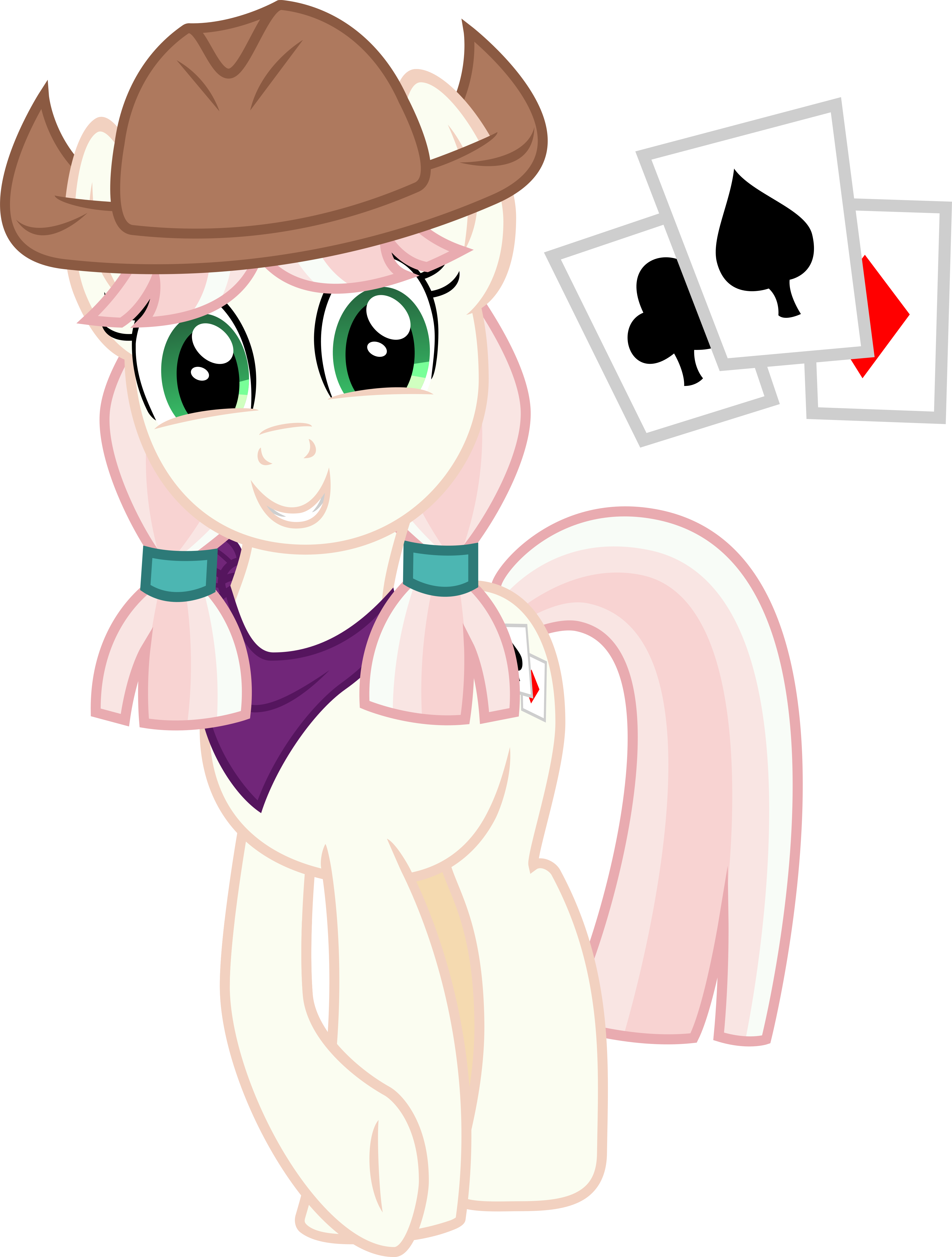 Cowgirl my little pony