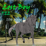 Lost Boy (Done)