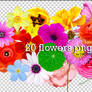 Flowers png +
