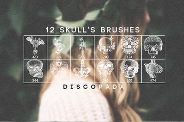 12 Skulls and Anatomy Brushes