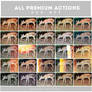 All premium Actions and PSD (50% off)