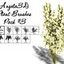 Angela3D Plant Brushes Set 3